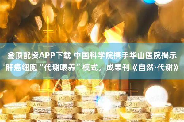 金顶配资APP下载 中国科学院携手华山医院揭示肝癌细胞“代谢喂养”模式，成果刊《自然·代谢》