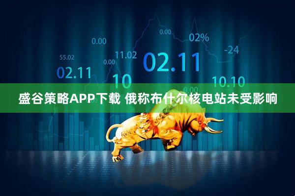 盛谷策略APP下载 俄称布什尔核电站未受影响