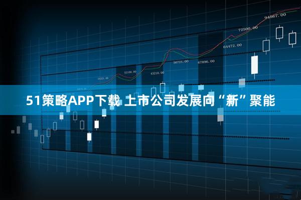 51策略APP下载 上市公司发展向“新”聚能