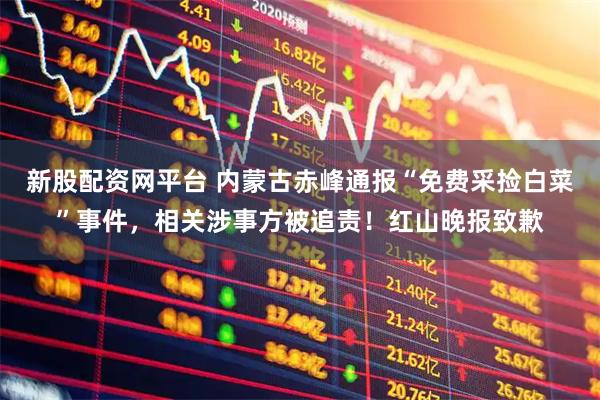 新股配资网平台 内蒙古赤峰通报“免费采捡白菜”事件，相关涉事方被追责！红山晚报致歉