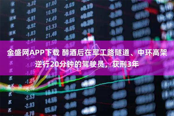 金盛网APP下载 醉酒后在军工路隧道、中环高架逆行20分钟的驾驶员，获刑3年